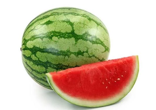Watermelon reference image supplied for the Seedance 2.5 product reveal